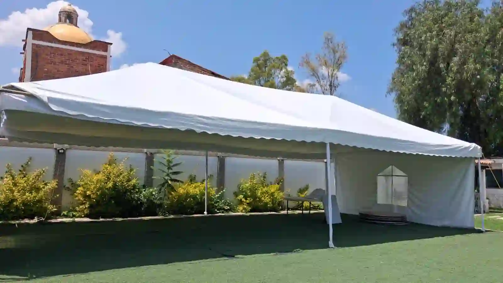 Carpa en el jardín