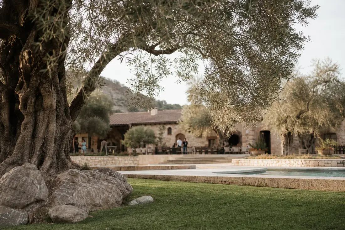 Rancho Los Olivos — Olivos centenarios, salón para eventos en Derramadero, León